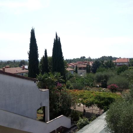 Villa Carolina Tar-Vabriga Kültér fotó