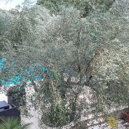 Villa Carolina Tar-Vabriga Kültér fotó