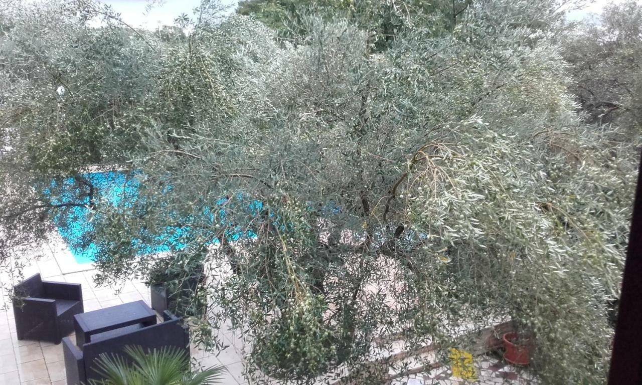 Villa Carolina Tar-Vabriga Kültér fotó